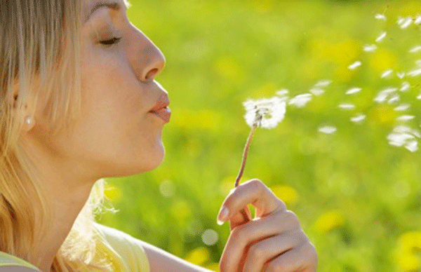 3 Remèdes Naturels Contre Les Allergies Au Pollen Grands 
